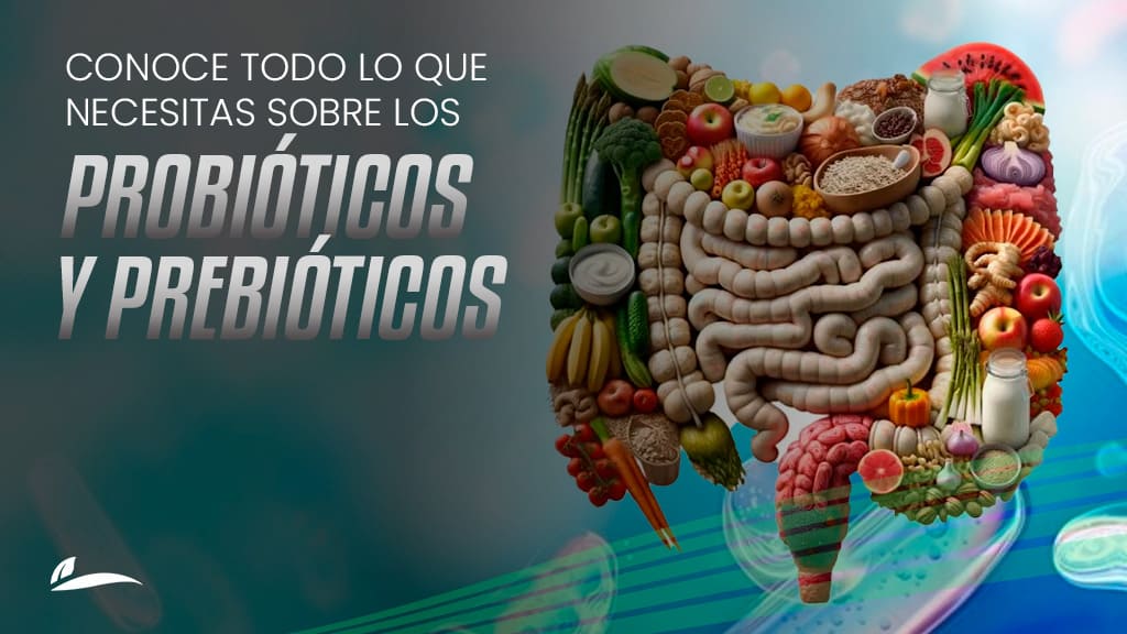 prebióticos probióticos