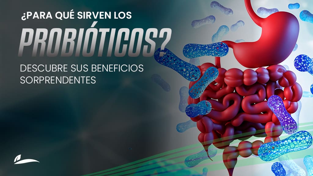 para que sirven los probioticos