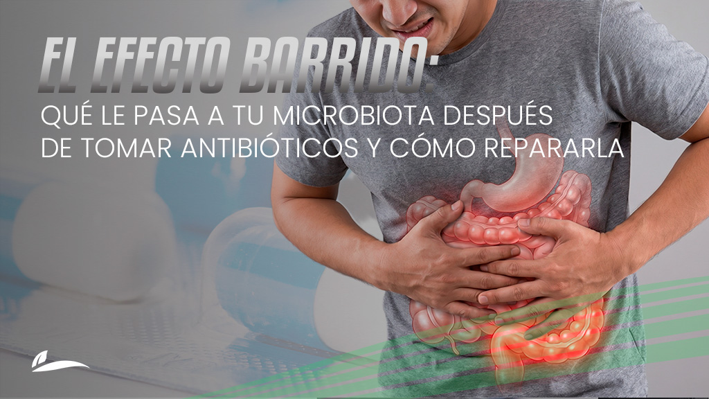 El efecto barrido: qué le pasa a tu microbiota después de tomar antibióticos y cómo repararla