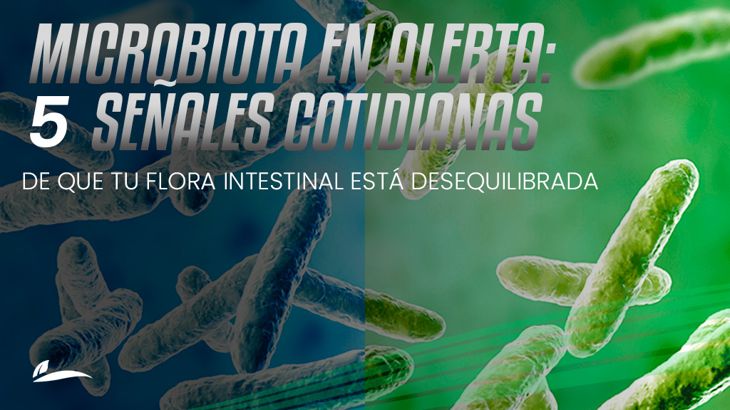 Microbiota en alerta: 5 señales en tu vientre de que tu flora intestinal está desequilibrada