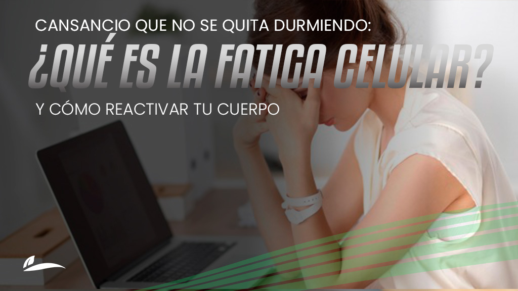 El cansancio que no se quita durmiendo: qué es la fatiga celular y cómo reactivar tu cuerpo