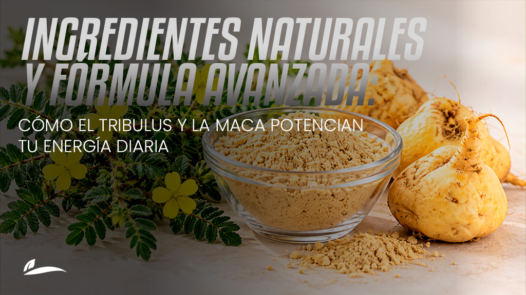 Ingredientes naturales y fórmula avanzada: cómo el Tribulus y la Maca potencian tu energía diaria