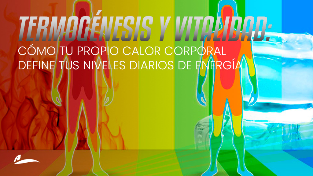 Termogénesis y vitalidad: cómo tu calor corporal influye en tu energía diaria