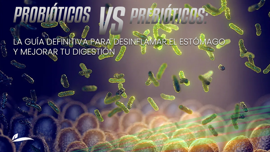 Probióticos vs. prebióticos: qué ayuda realmente a desinflamar el estómago y mejorar la digestión